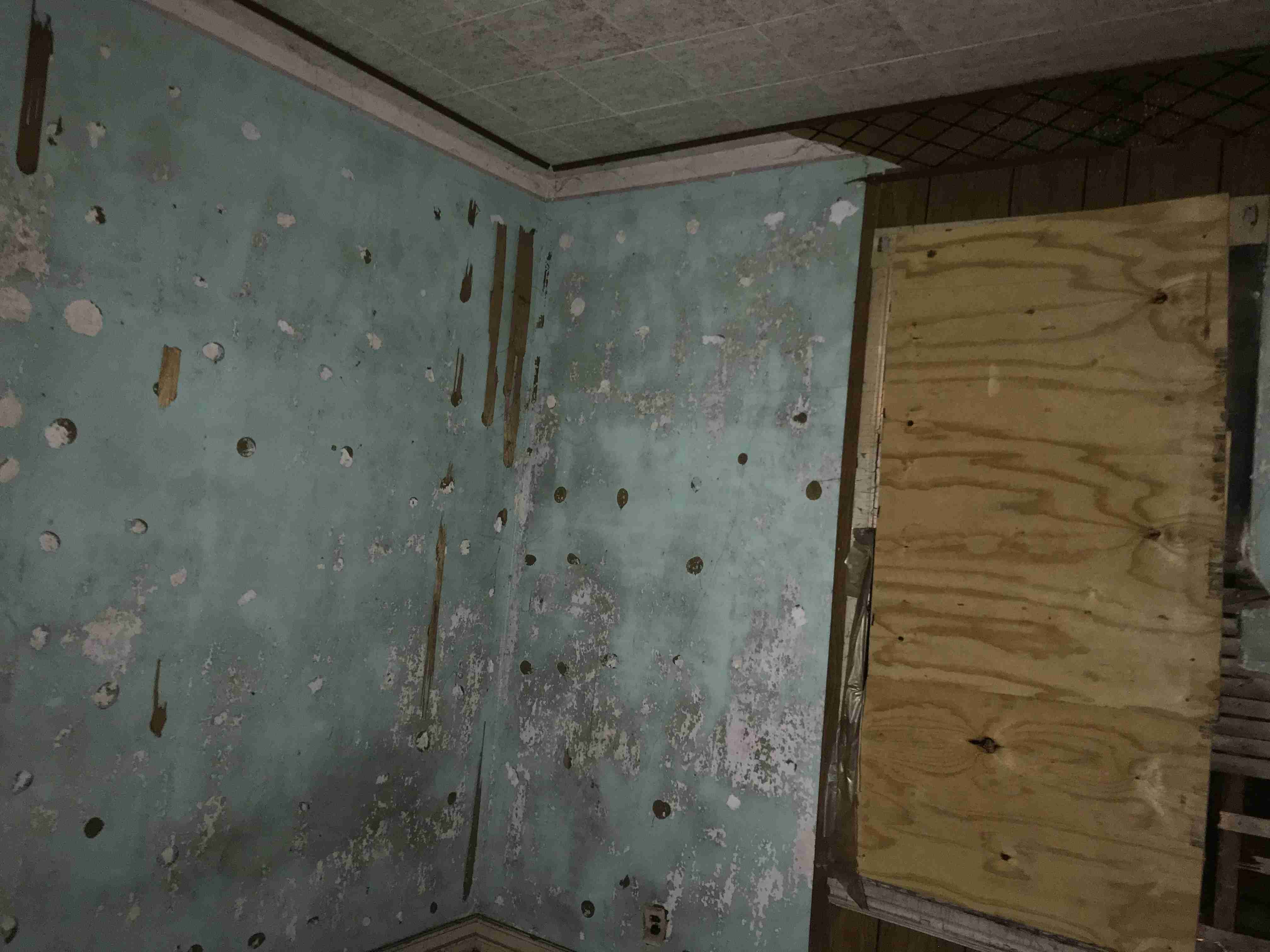 Photo Oct 13, 3 47 47 PM.jpg